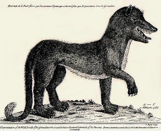 Unmasking the Beast of Gévaudan, France’s Dark Legend