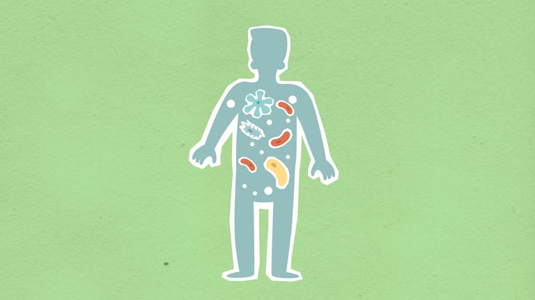 From above of cutout cardboard illustration of person with different bacteria spreading in body on green background