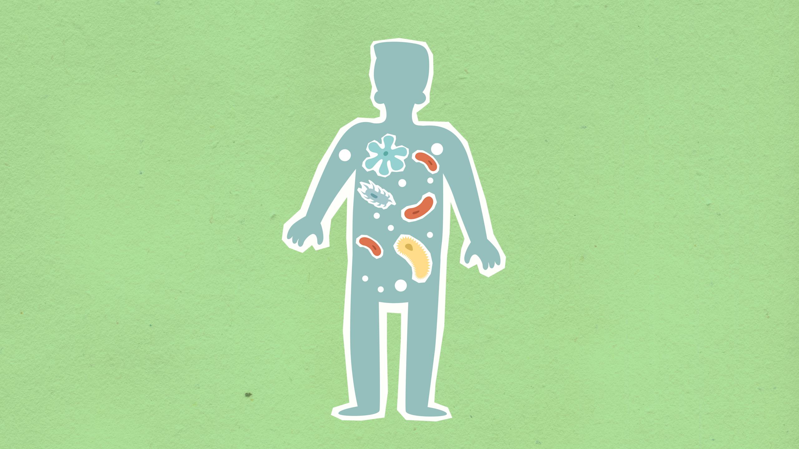 From above of cutout cardboard illustration of person with different bacteria spreading in body on green background